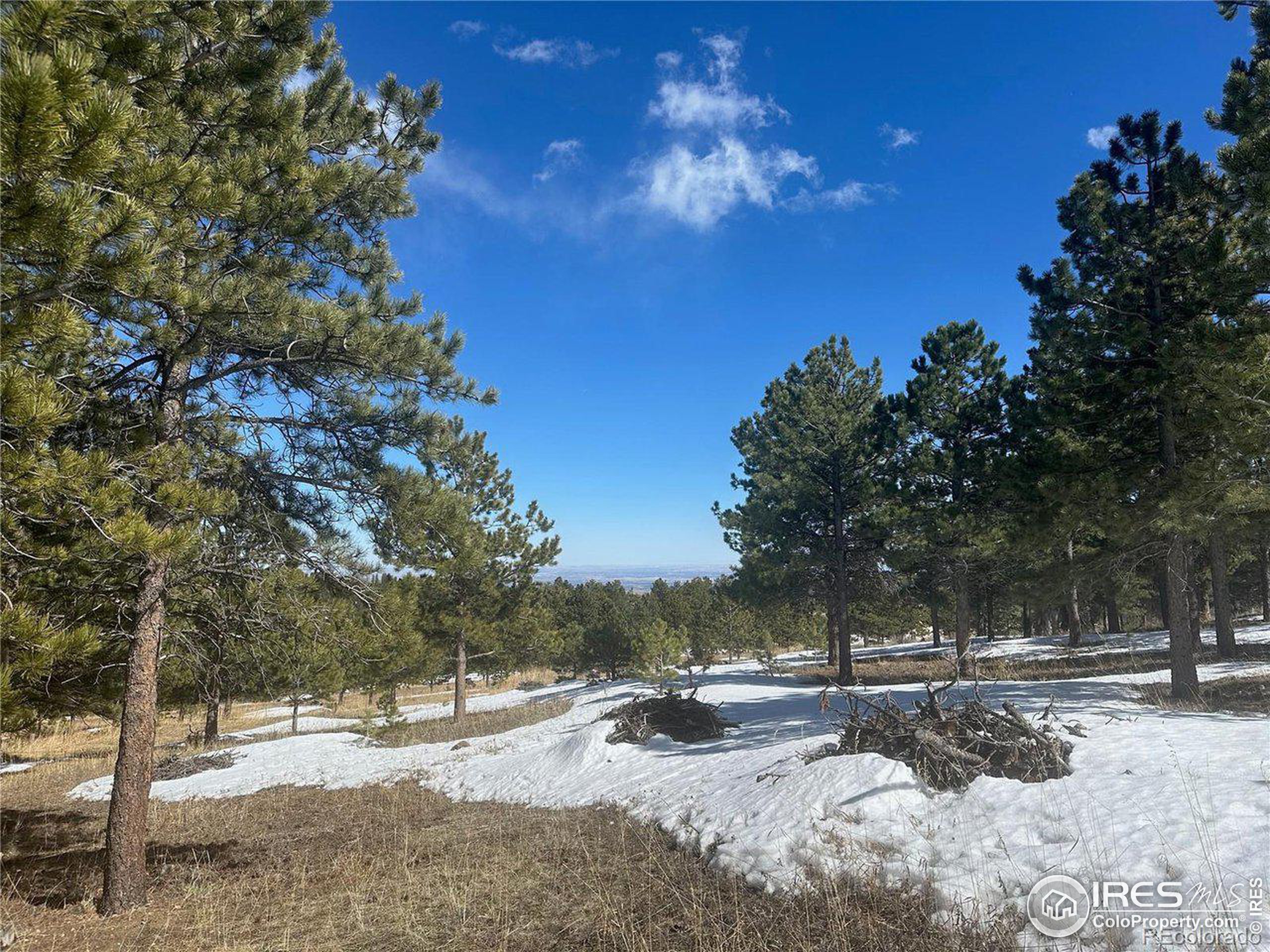 783 Dixon Road Boulder, CO 80302 - Photo 6 of 9