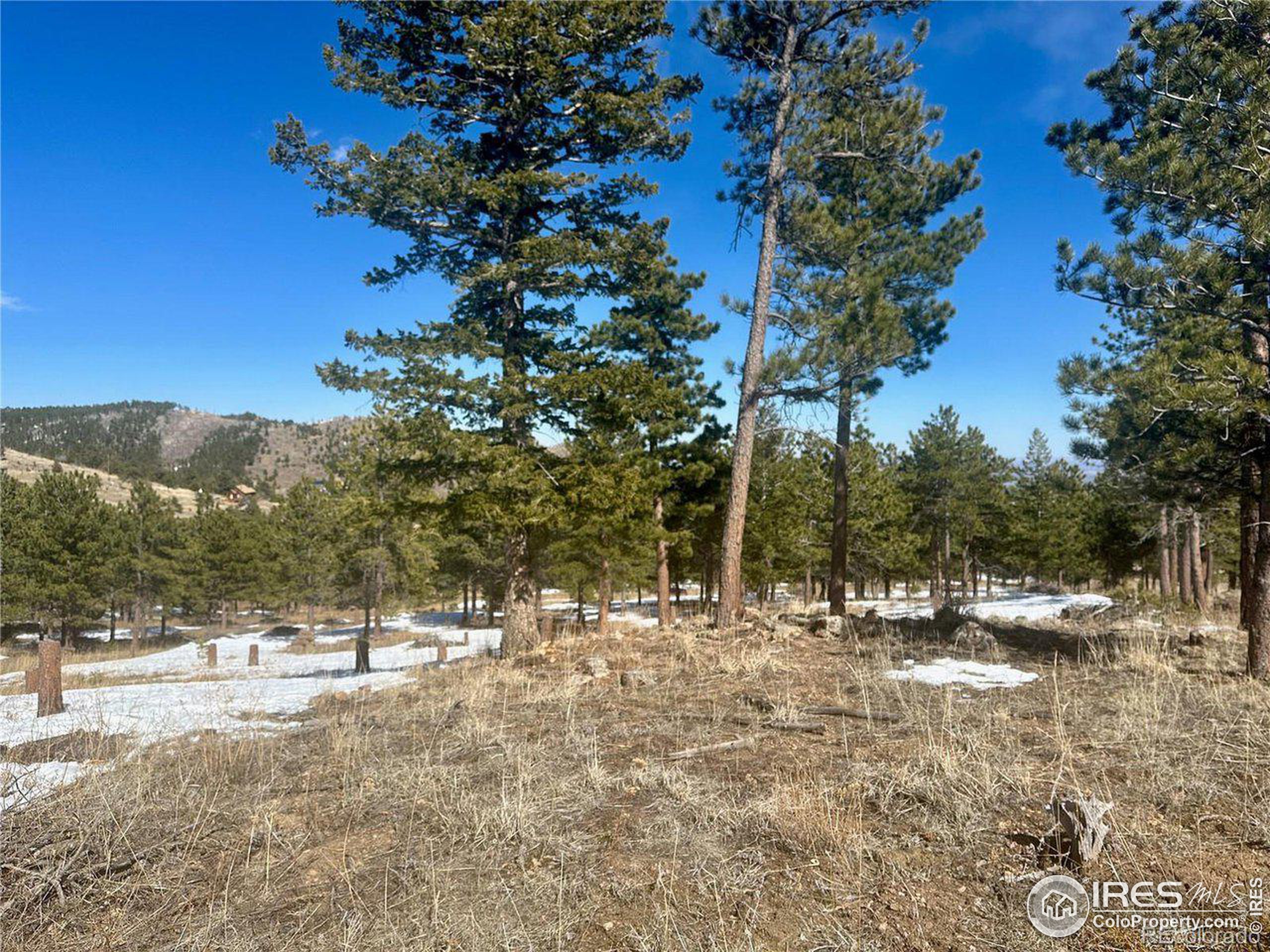 783 Dixon Road Boulder, CO 80302 - Photo 9 of 9