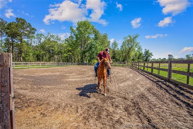 a park view with a entertaining space