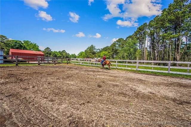 a view of outdoor space with garden and lots of trees