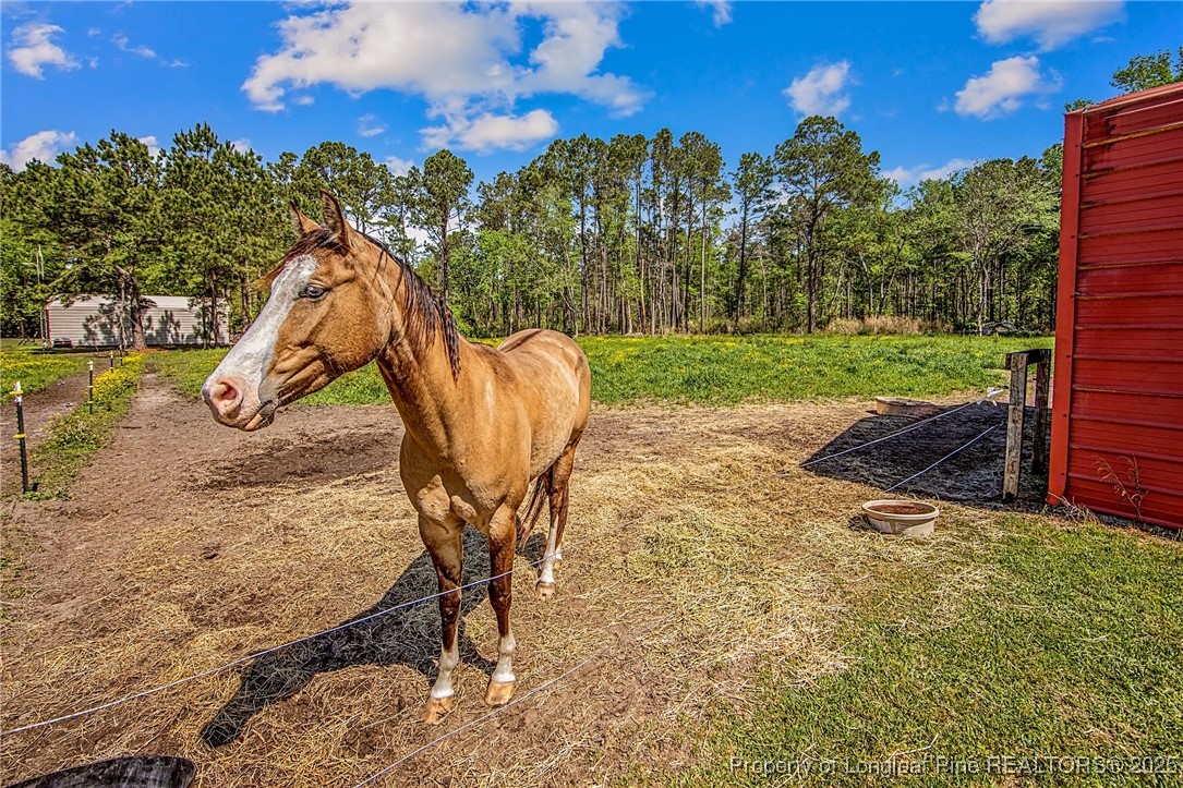 40 Kinlaw Road Lumberton, NC 28358 - Photo 29 of 50 a view of a yard with a slide