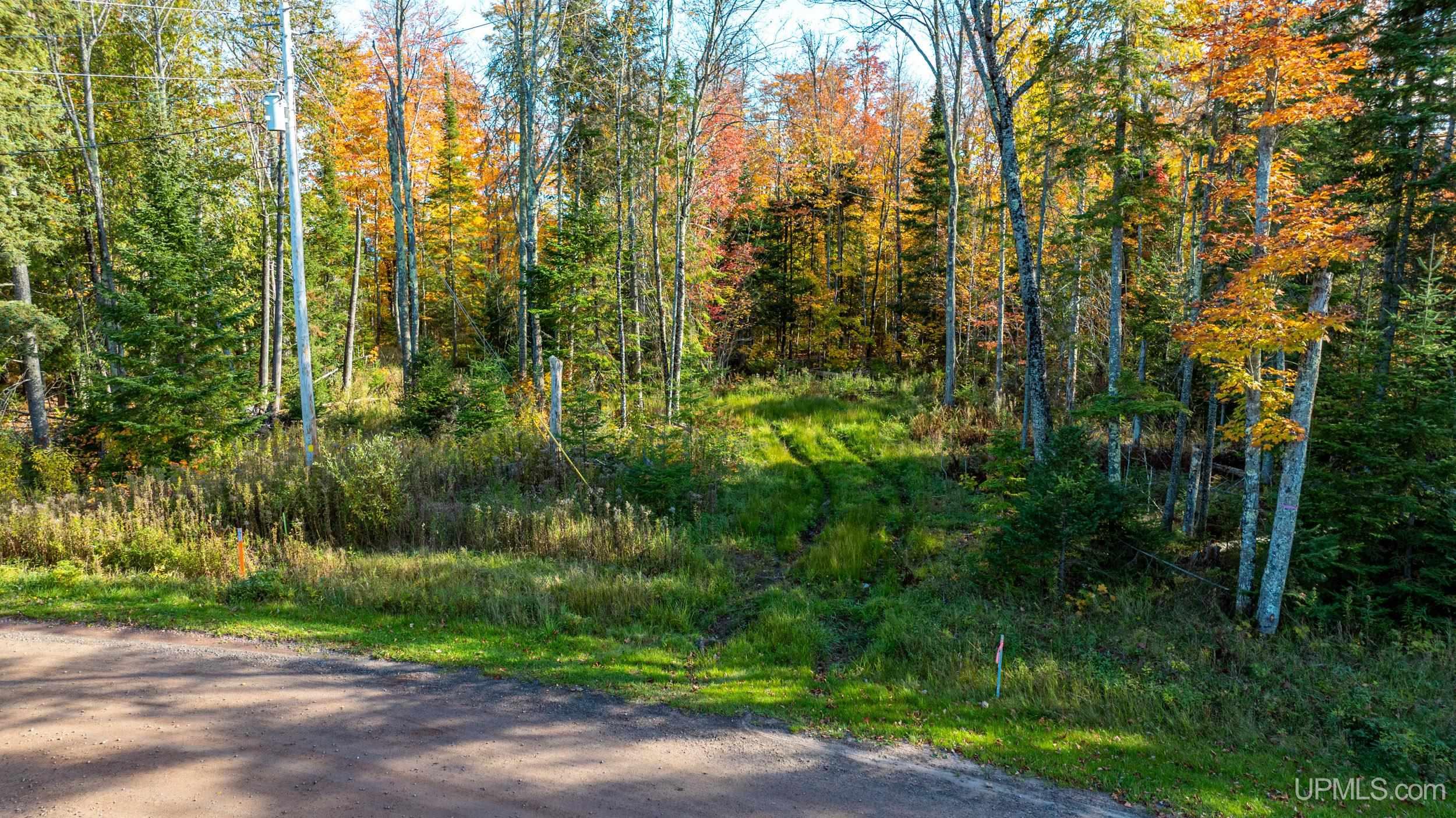 Tbd A Payne Road Pelkie, MI 49908 - Photo 18 of 46 Gallery Image 18