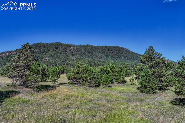 Perry Park Road Larkspur, CO 80118 - Photo 45 of 50 Gallery Image 45
