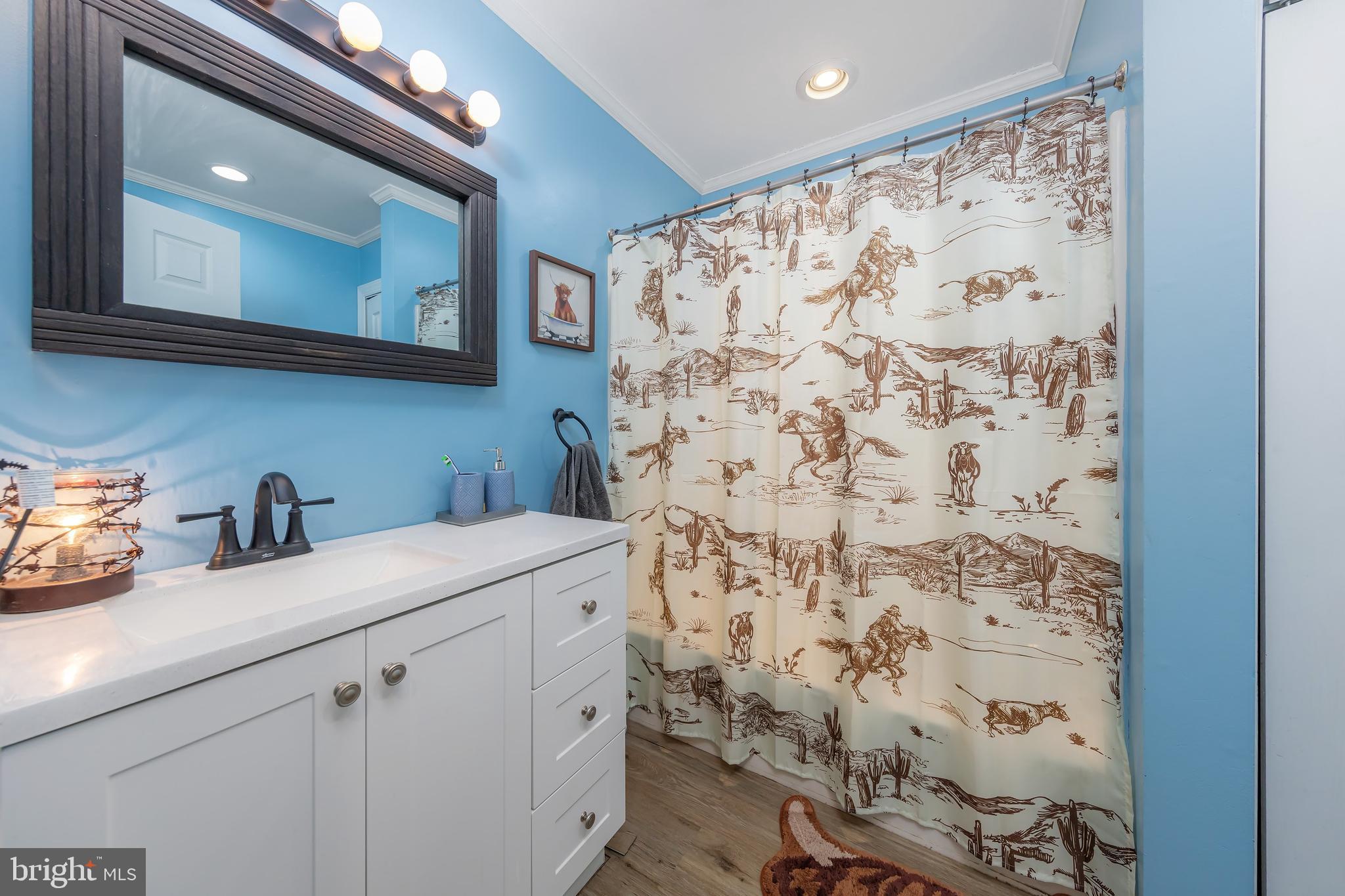163 Telegraph Road Bridgeton, NJ 08302 - Photo 13 of 17 Updated full bathroom
