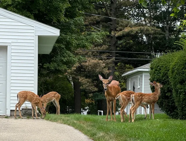 $425,000 | 307 North Ferry Street, Ludington, MI 49431