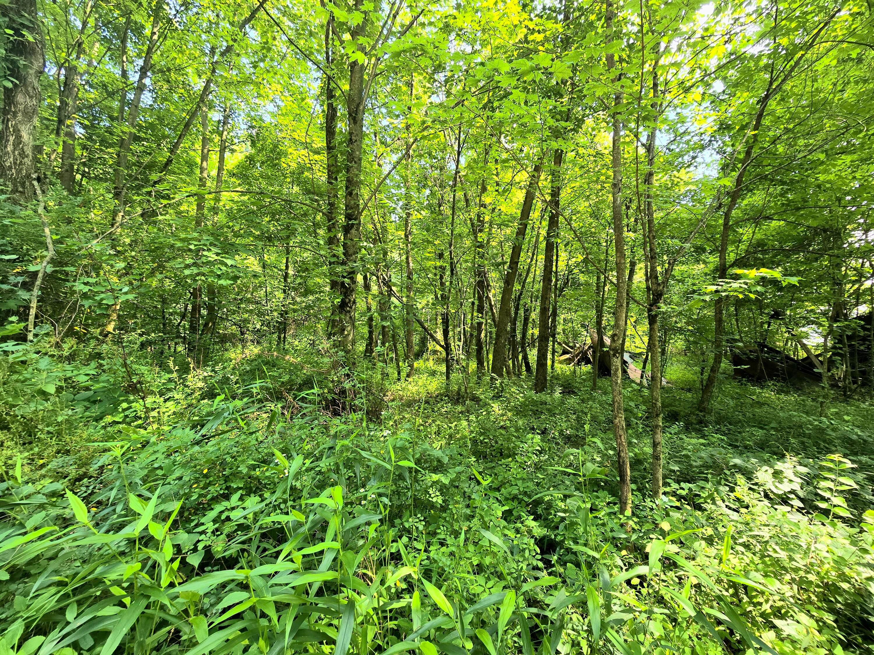 9026-1 Gregg Road Fredericktown, OH 43019 - Photo 5 of 16 1000062274