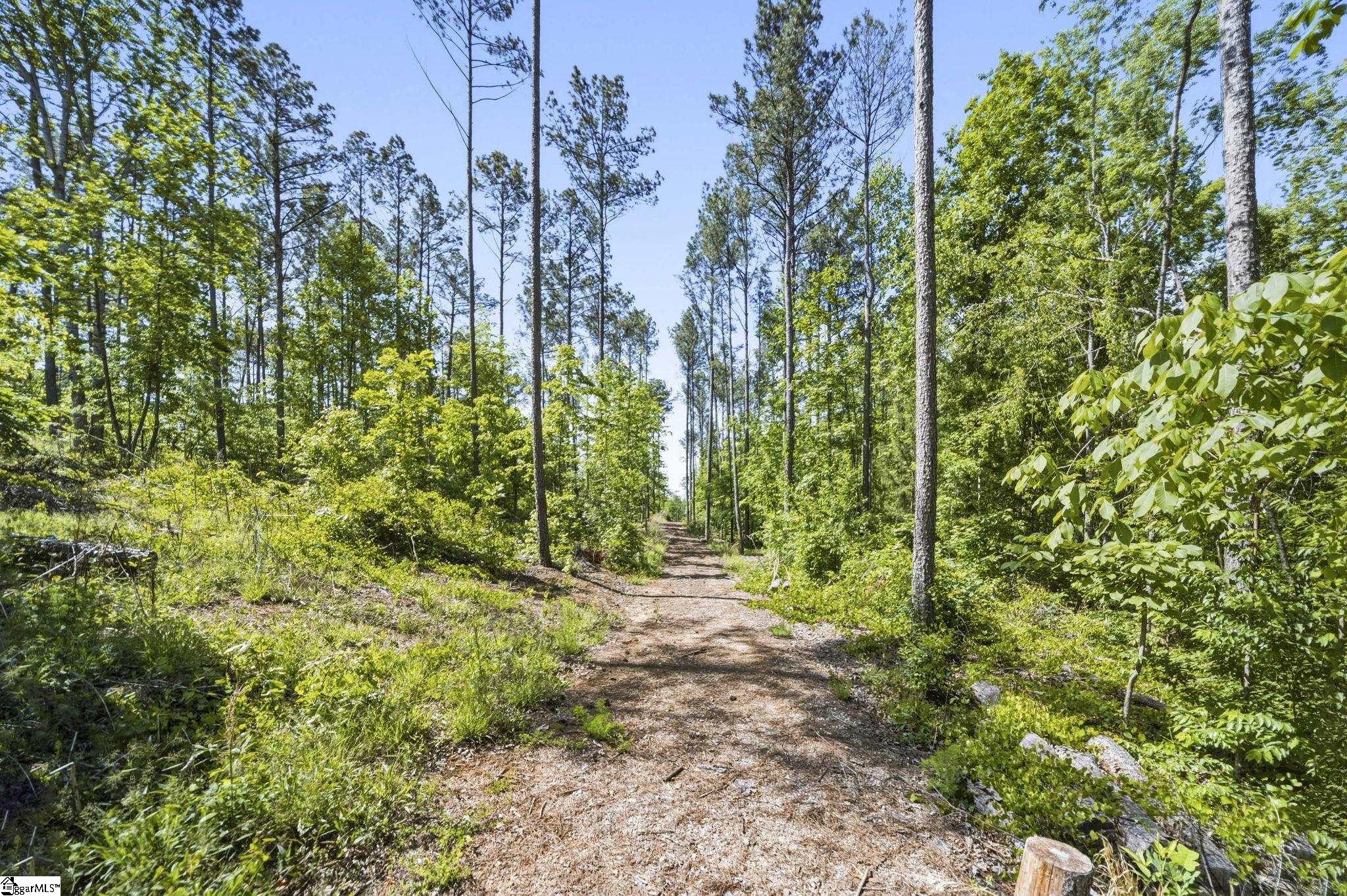 516 Franklin Finley Road Easley, SC 29640 - Photo 13 of 20