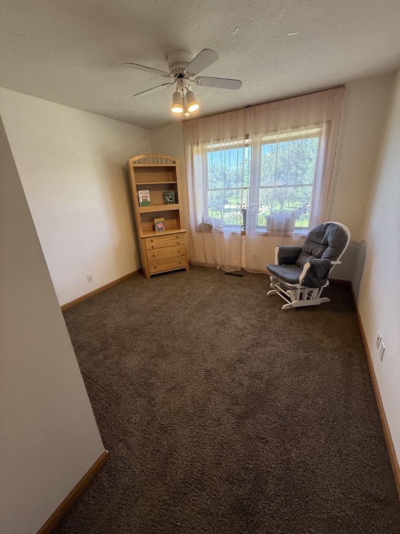 453 Snipe Run Drive Bonfield, IL 60913 - Photo 29 of 36