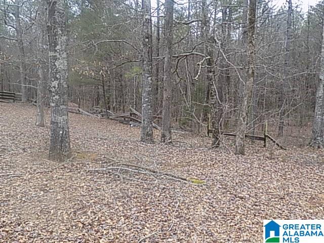 8255 Lock 17 Road Bessemer, AL 35023 - Photo 3 of 3