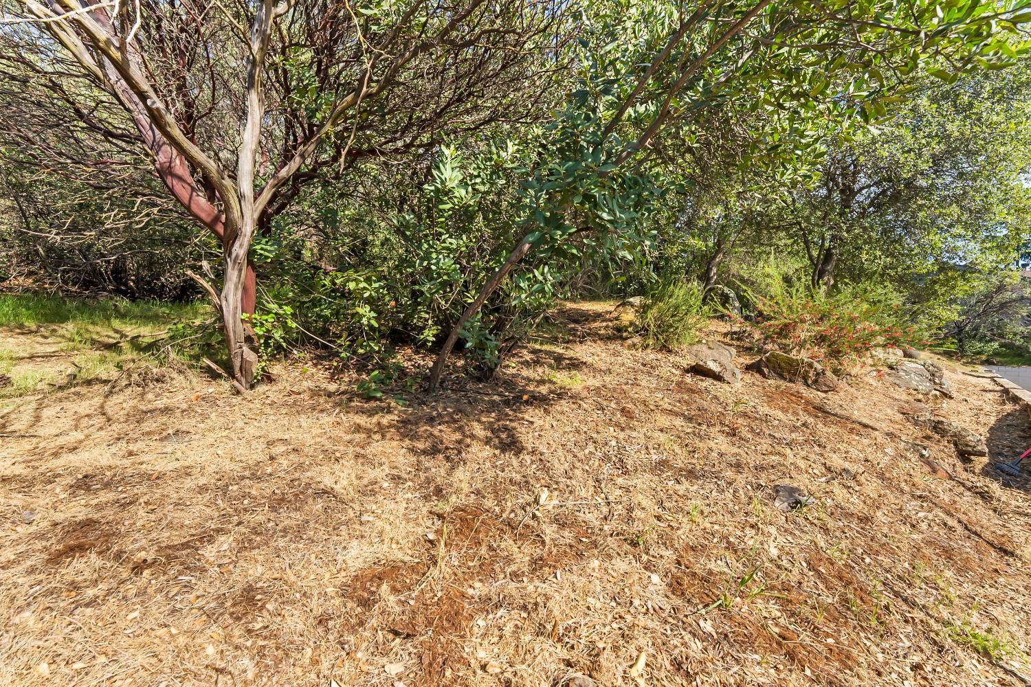 2801 Osborne Road Cameron Park, CA 95682 - Photo 27 of 37