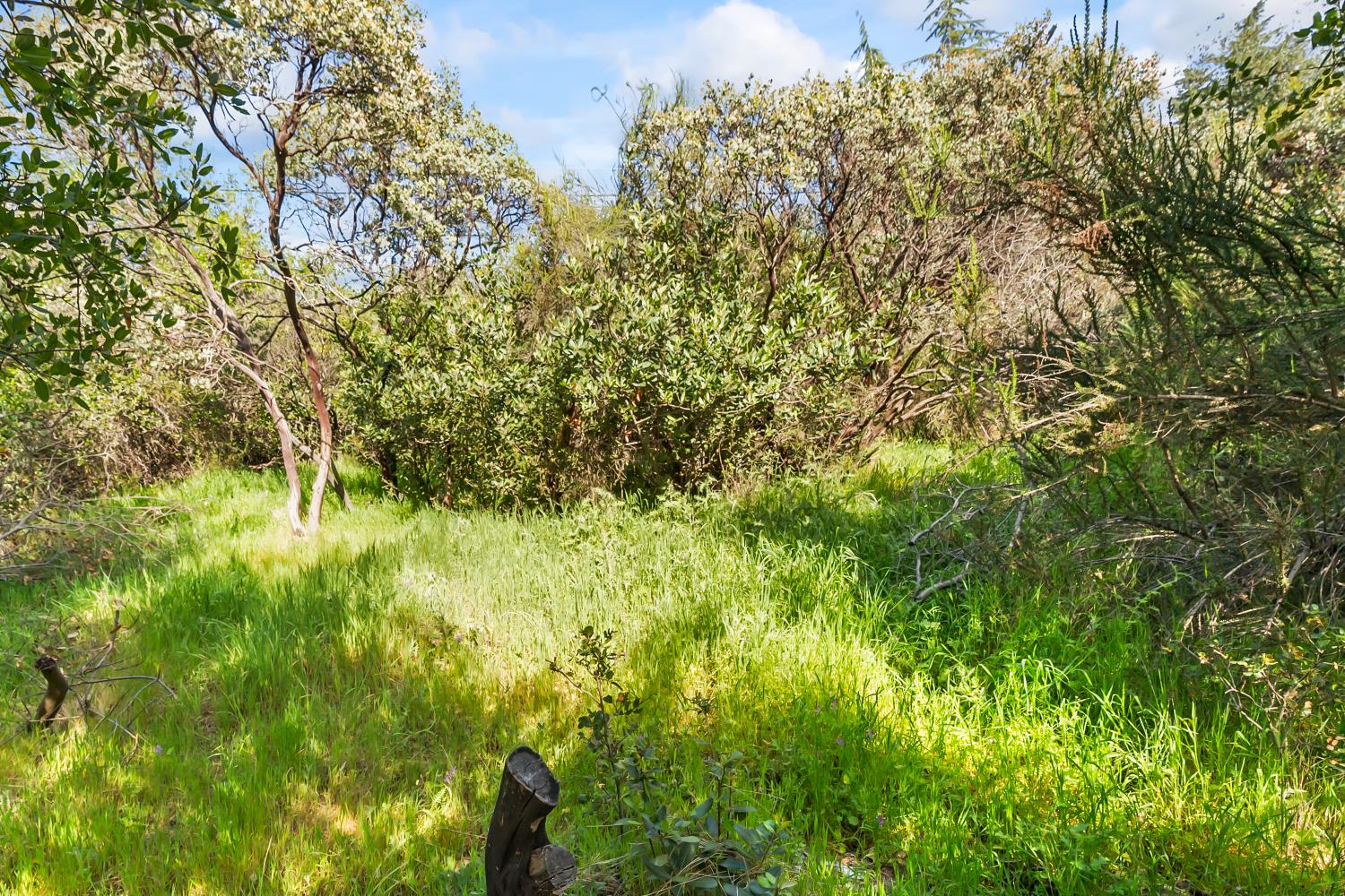 2801 Osborne Road Cameron Park, CA 95682 - Photo 28 of 37