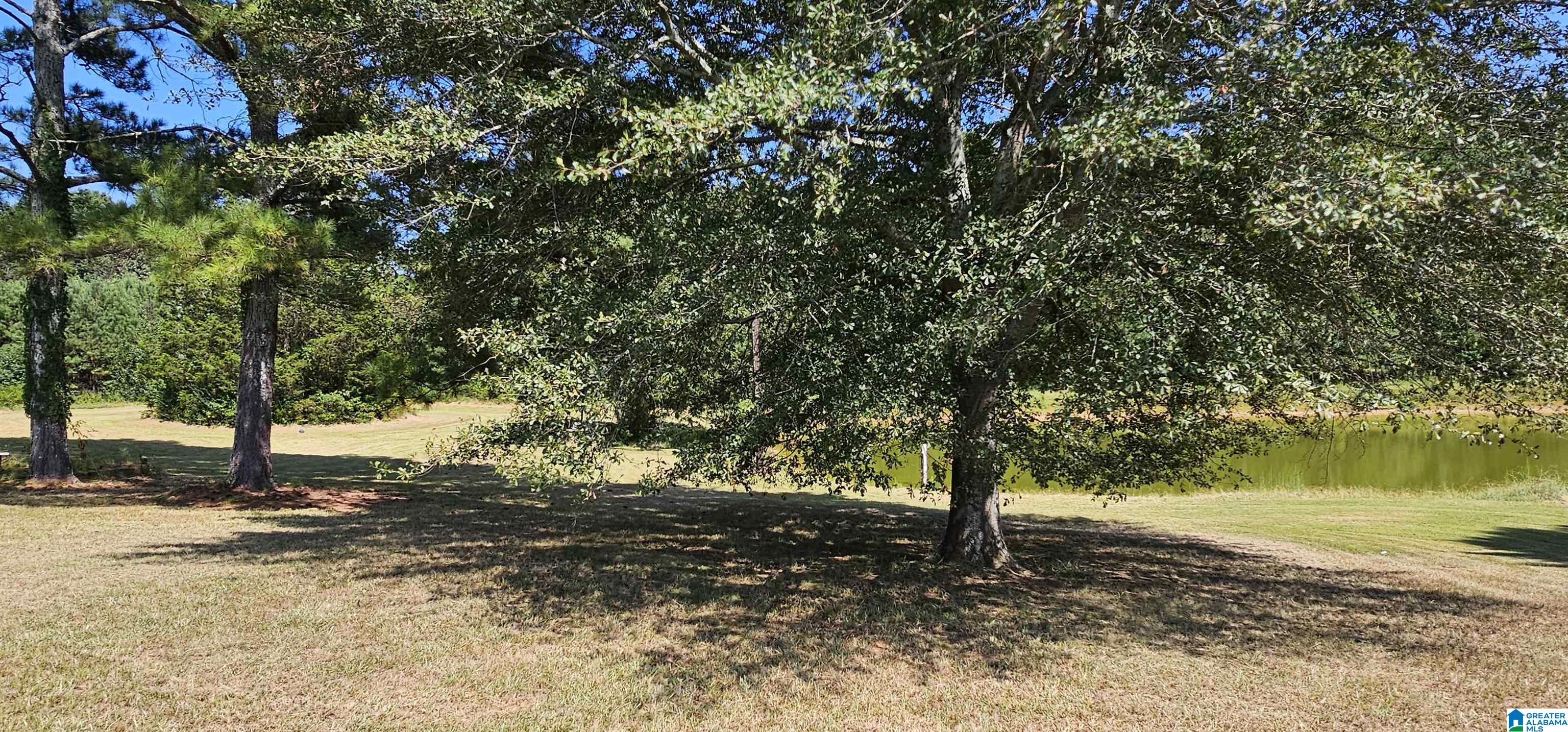 1218 Beason Cove Road Steele, AL 35987 - Photo 9 of 20