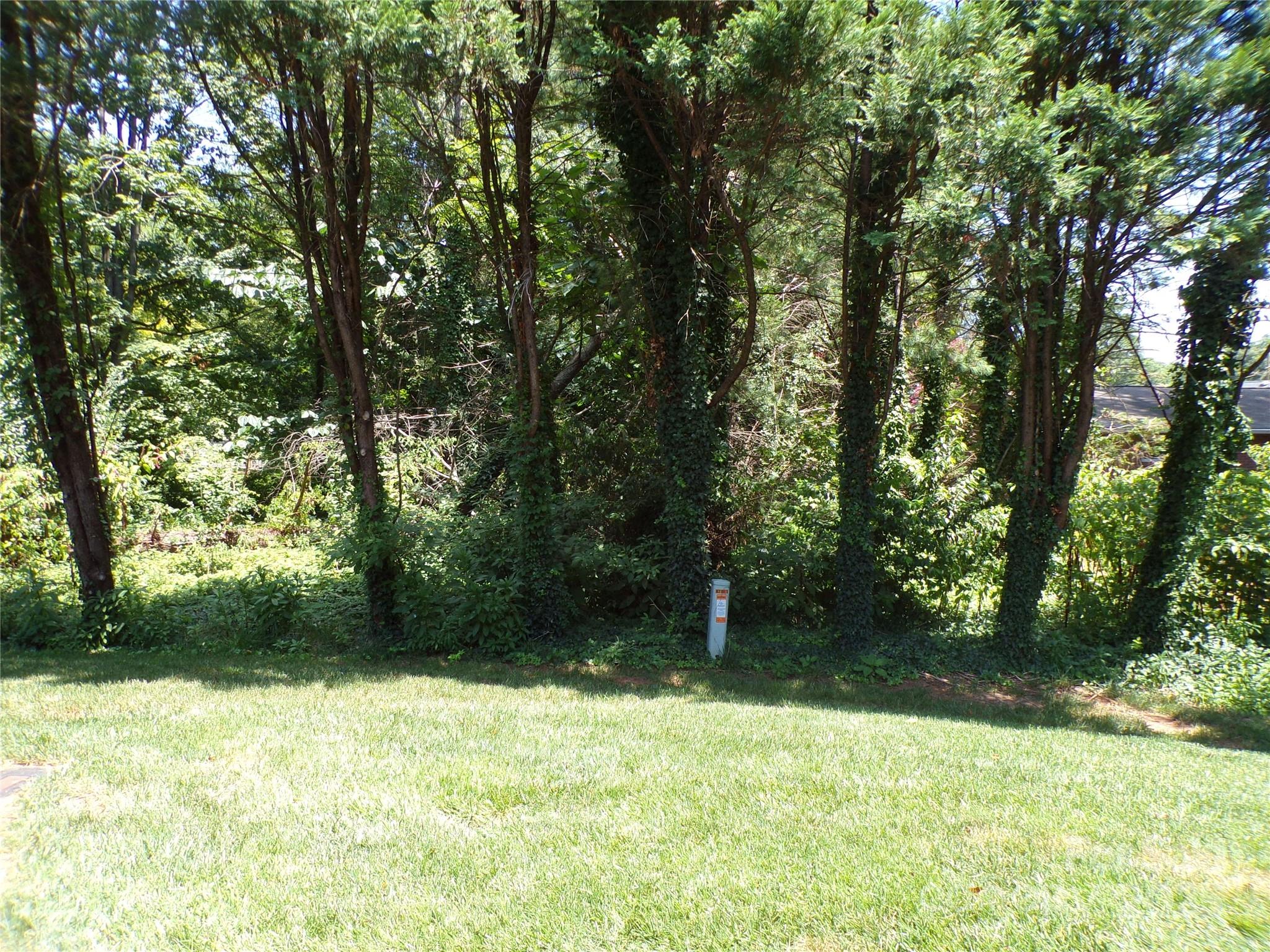 319 7th St Place Southwest, Unit E5 Conover, NC 28613 - Photo 15 of 15 a backyard of a house with lots of green space