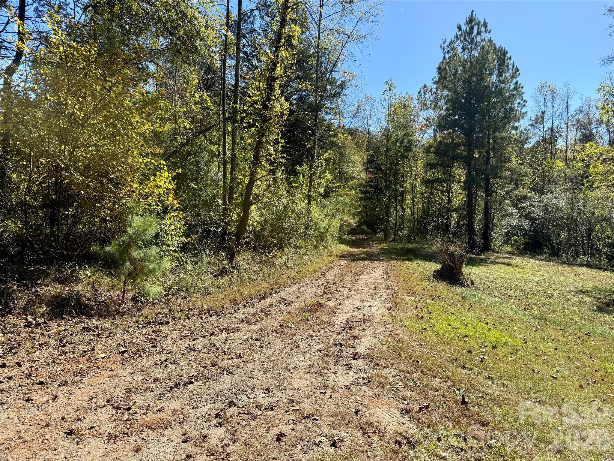 229 Kelsey Lane Rutherfordton, NC 28139 - Photo 25 of 25 a view of outdoor space with trees