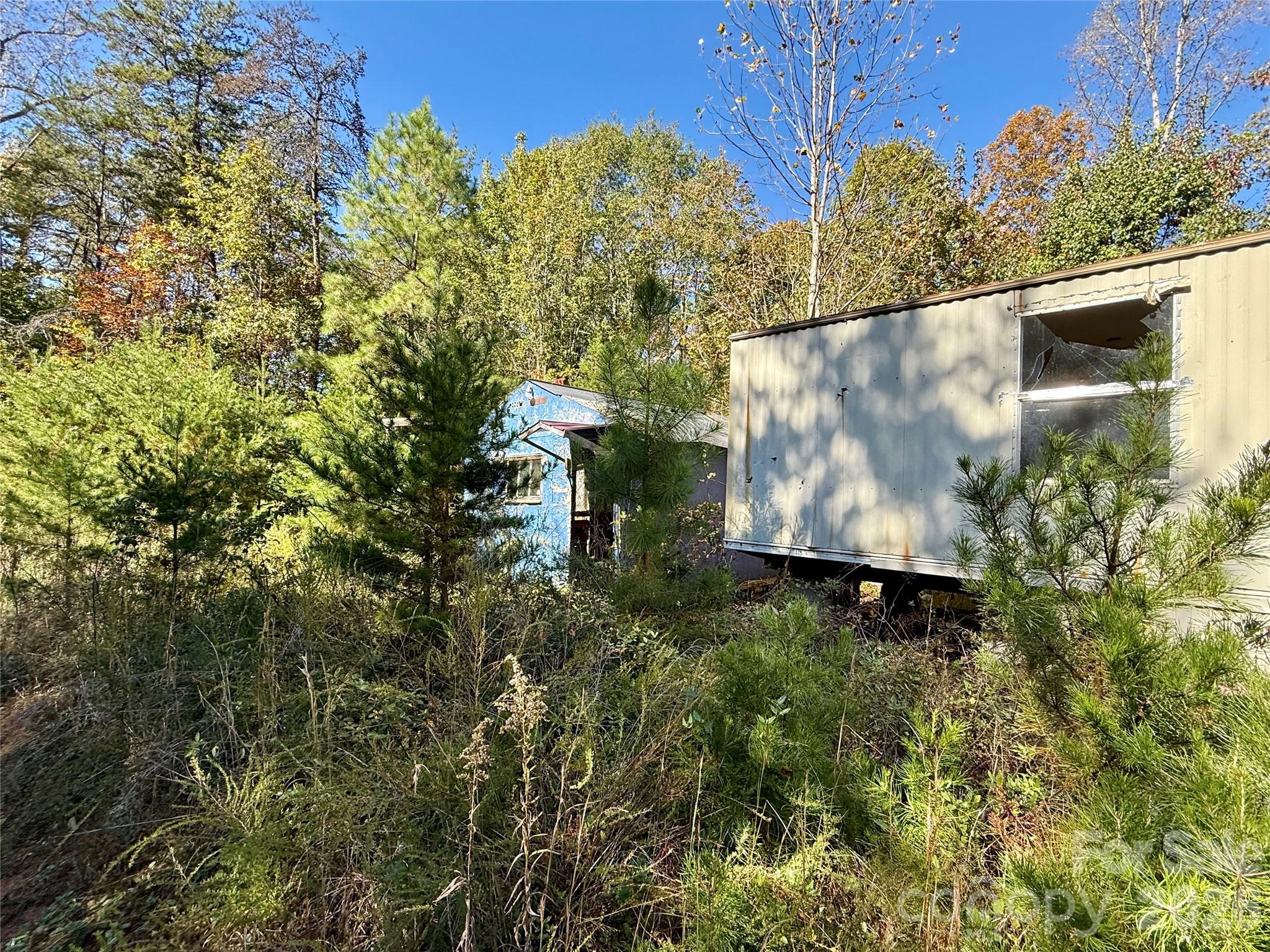 229 Kelsey Lane Rutherfordton, NC 28139 - Photo 3 of 25 a view of a back yard
