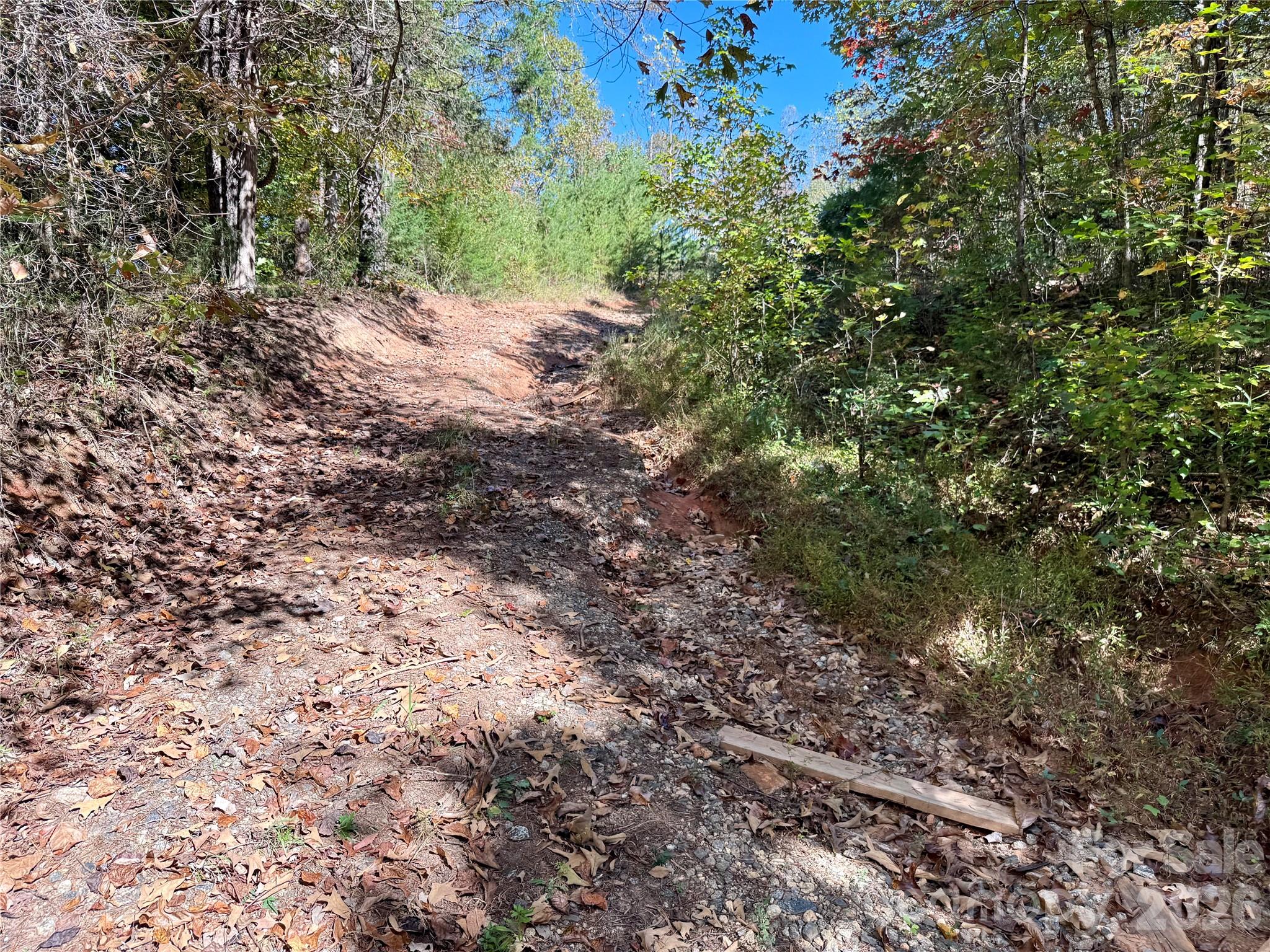 229 Kelsey Lane Rutherfordton, NC 28139 - Photo 6 of 25 a view of a yard with a tree