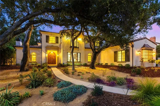 a view of a yard with plants and large trees