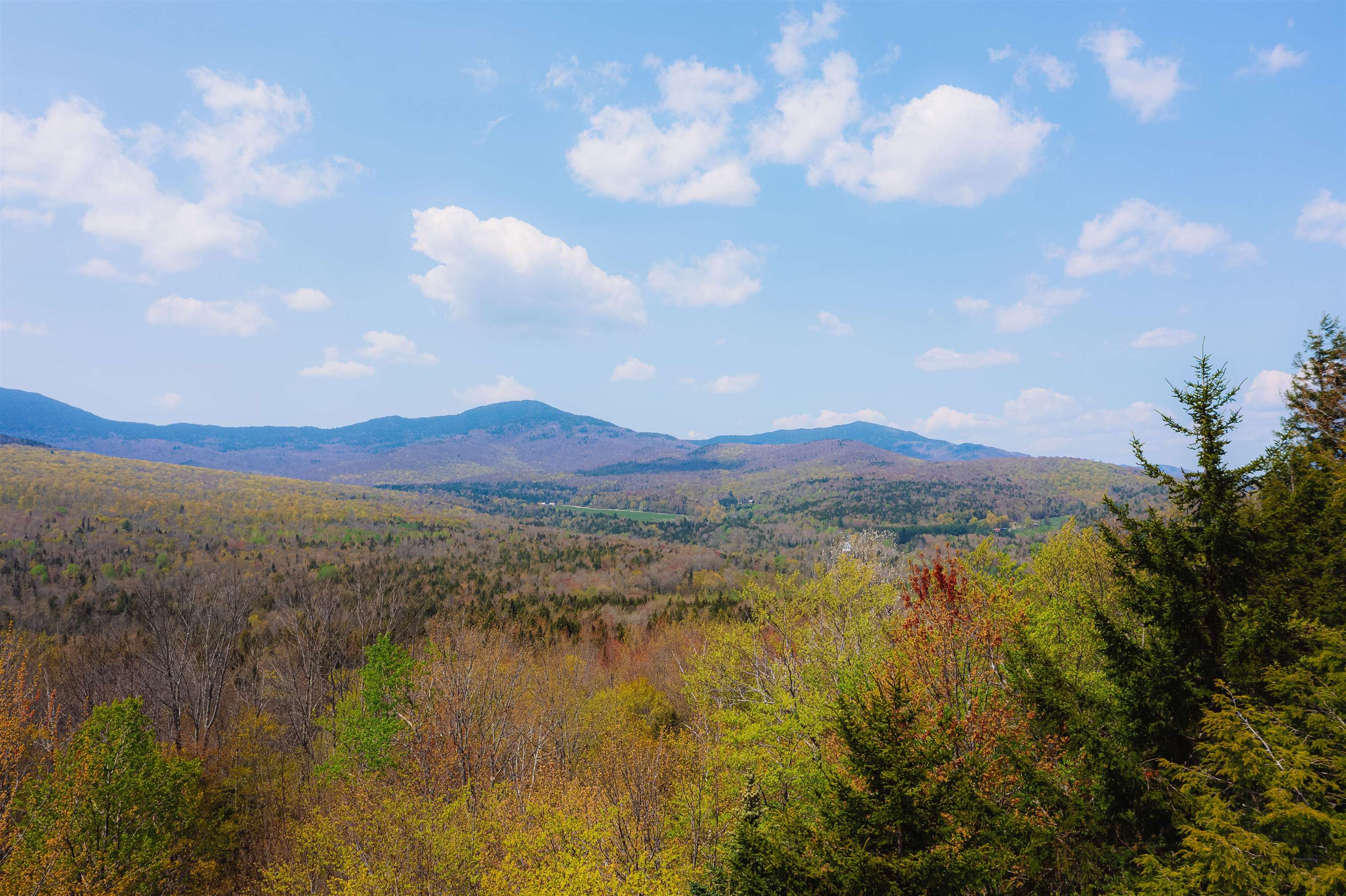 288 West Hill Road Worcester, VT 05682 - Photo 39 of 40