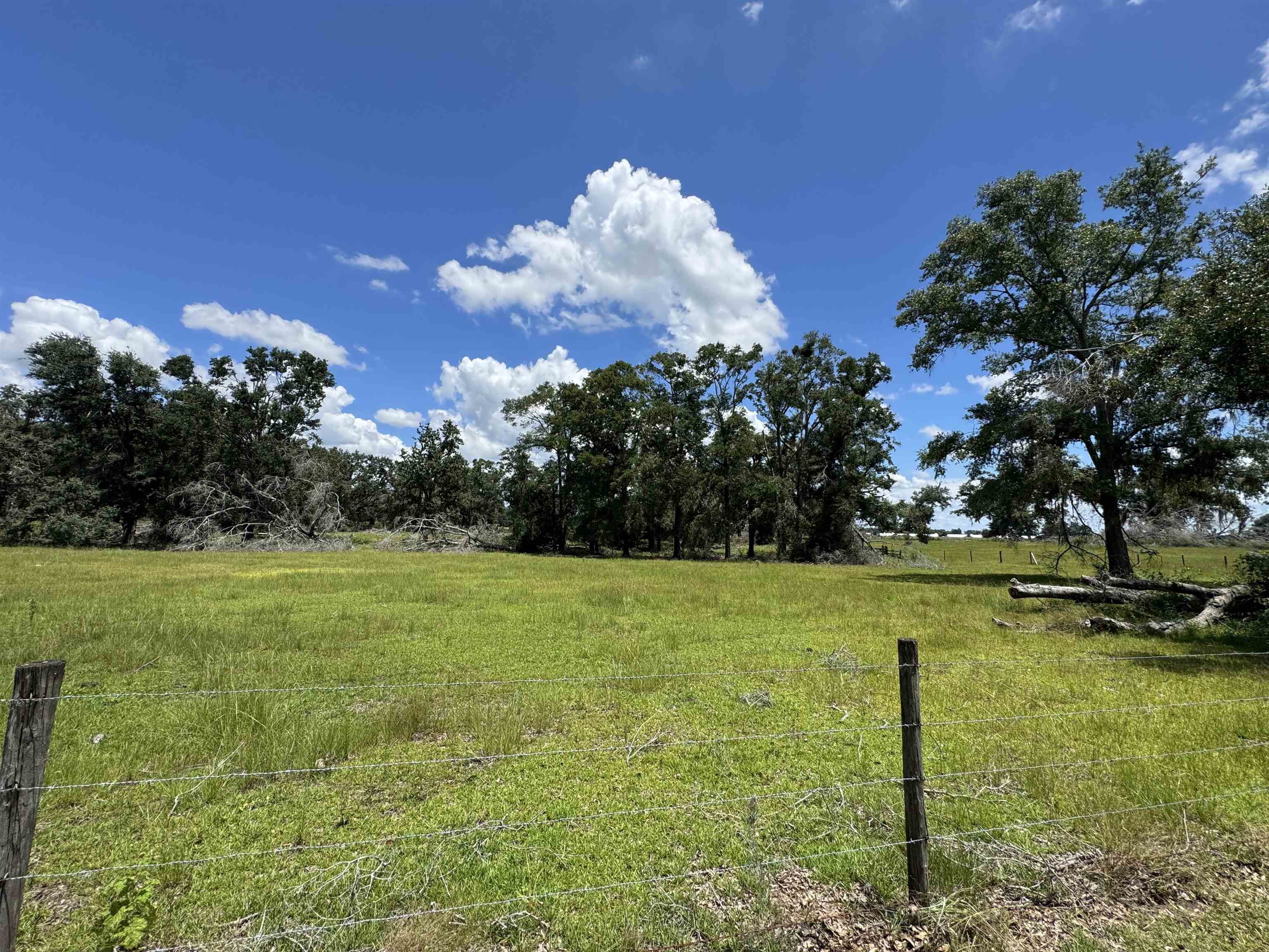 535 Northeast Jade Way Lee, FL 32059 - Photo 1 of 38