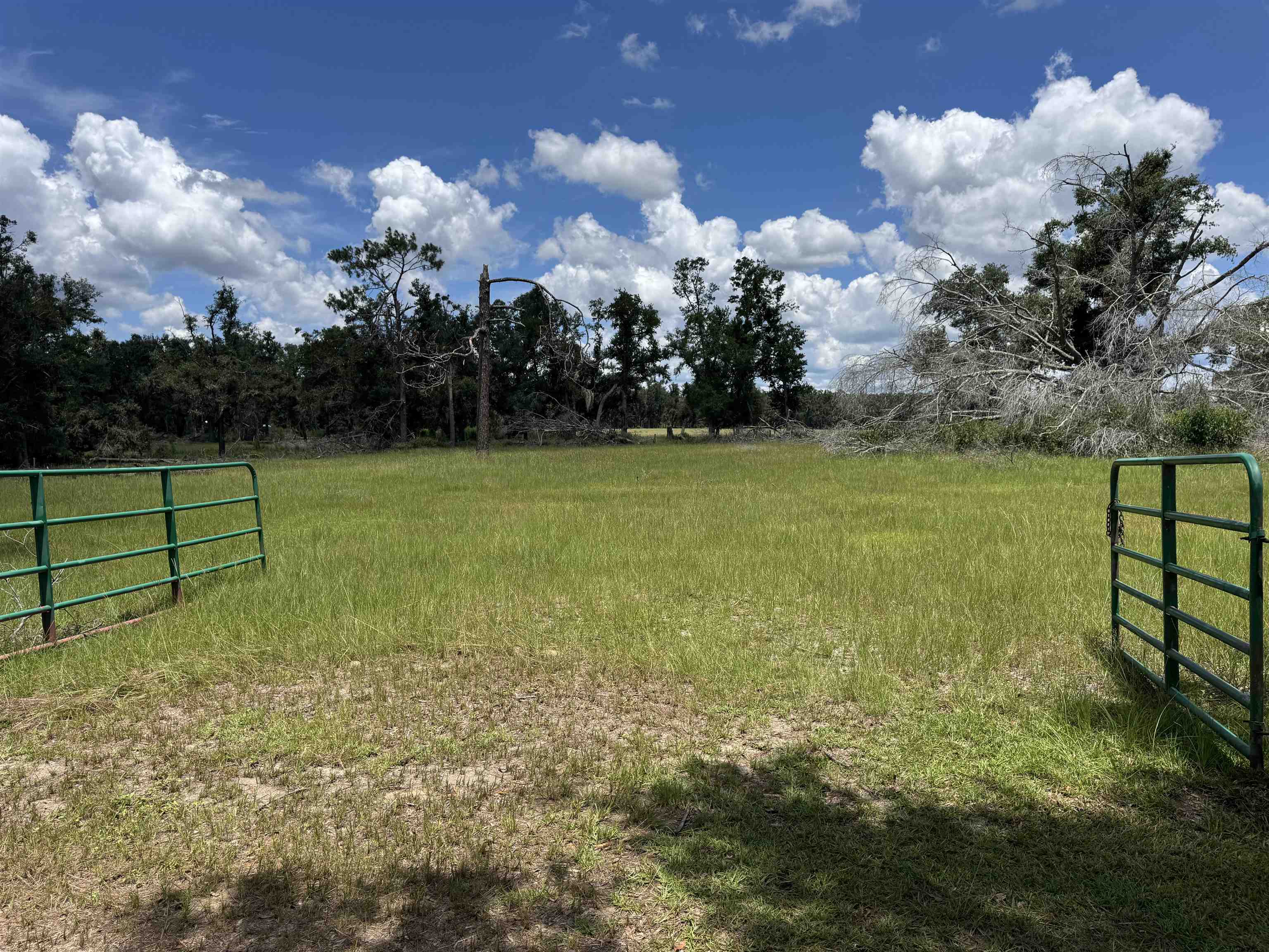 535 Northeast Jade Way Lee, FL 32059 - Photo 3 of 38