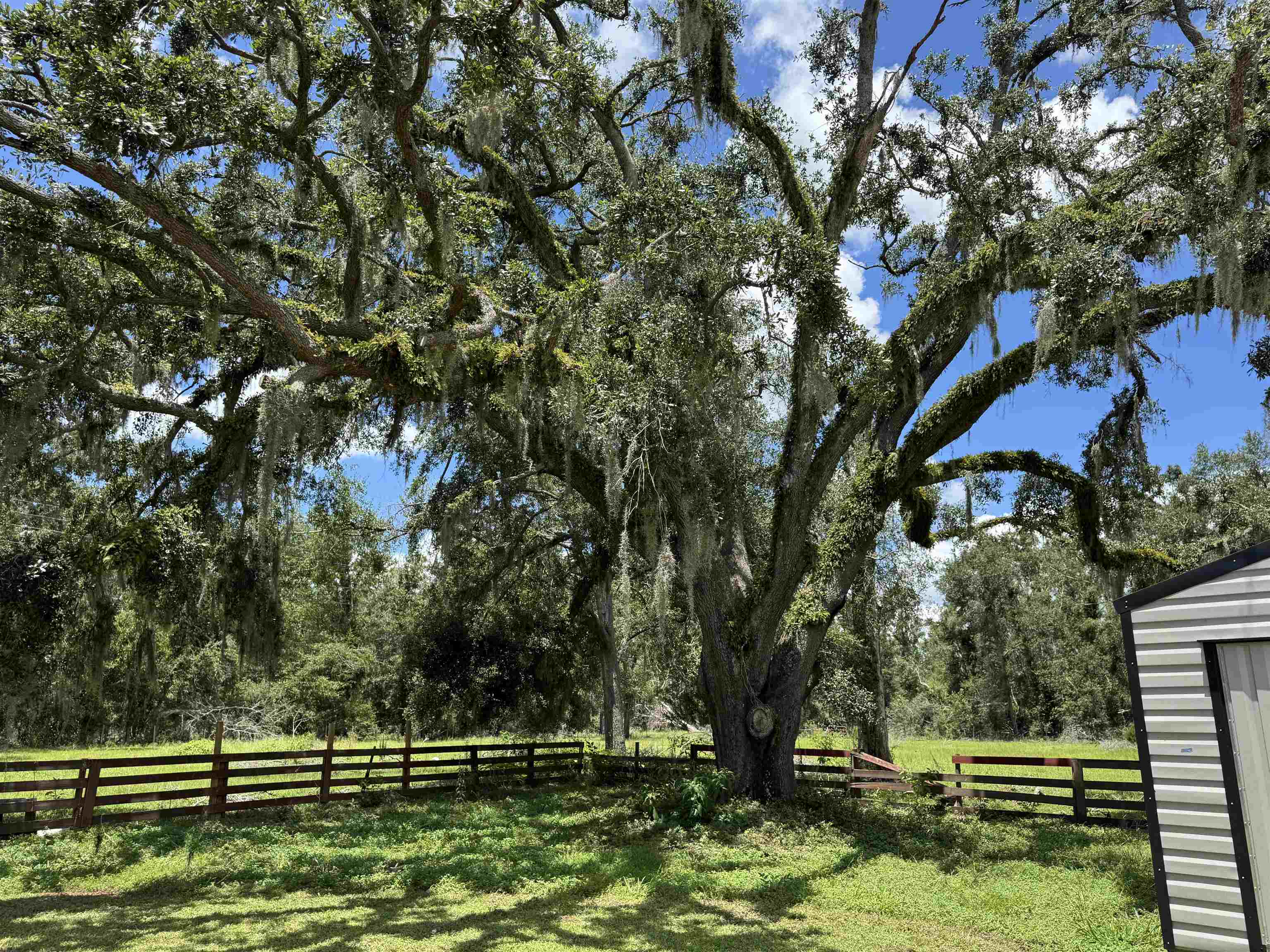 535 Northeast Jade Way Lee, FL 32059 - Photo 35 of 38