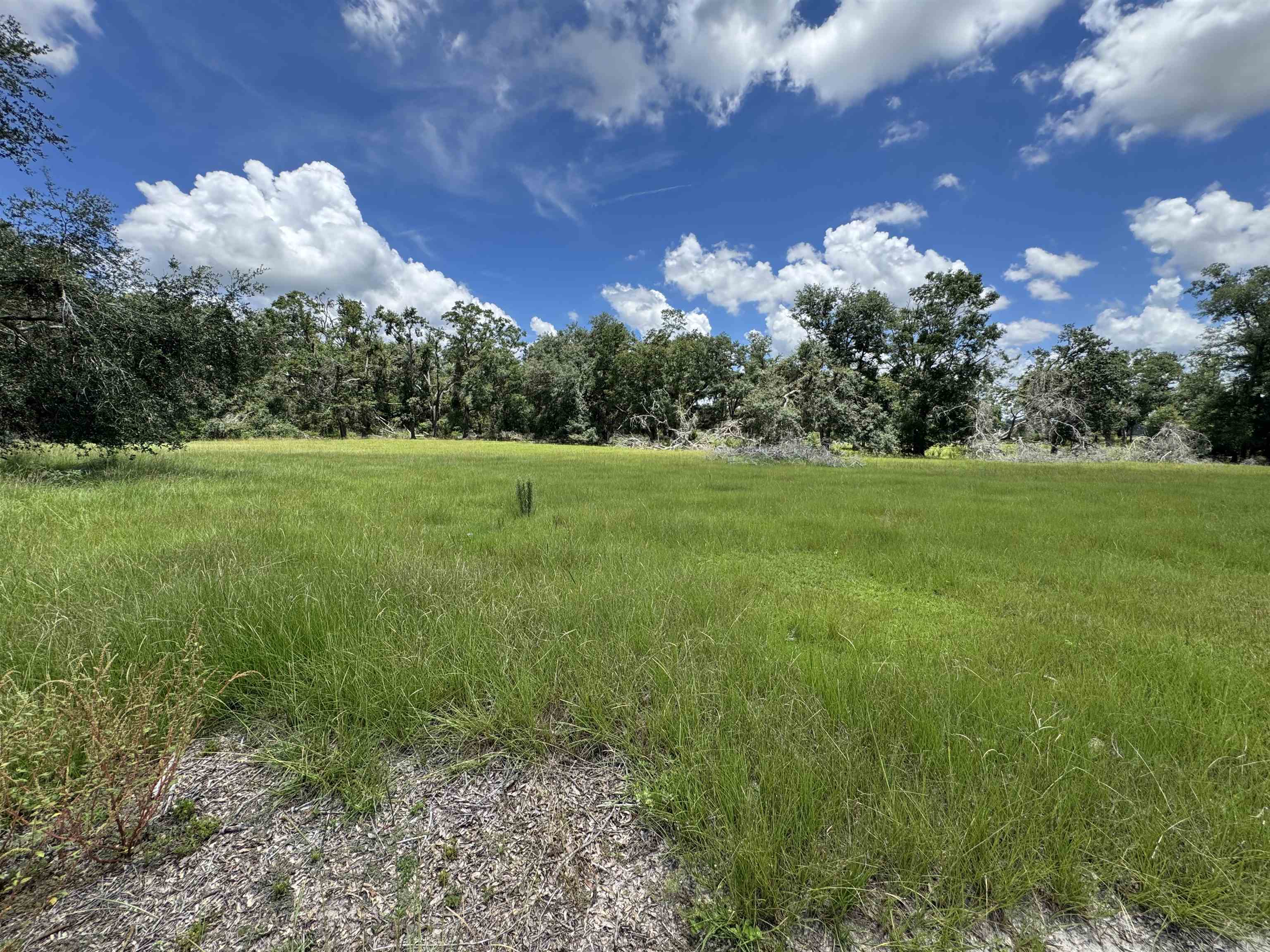 535 Northeast Jade Way Lee, FL 32059 - Photo 37 of 38