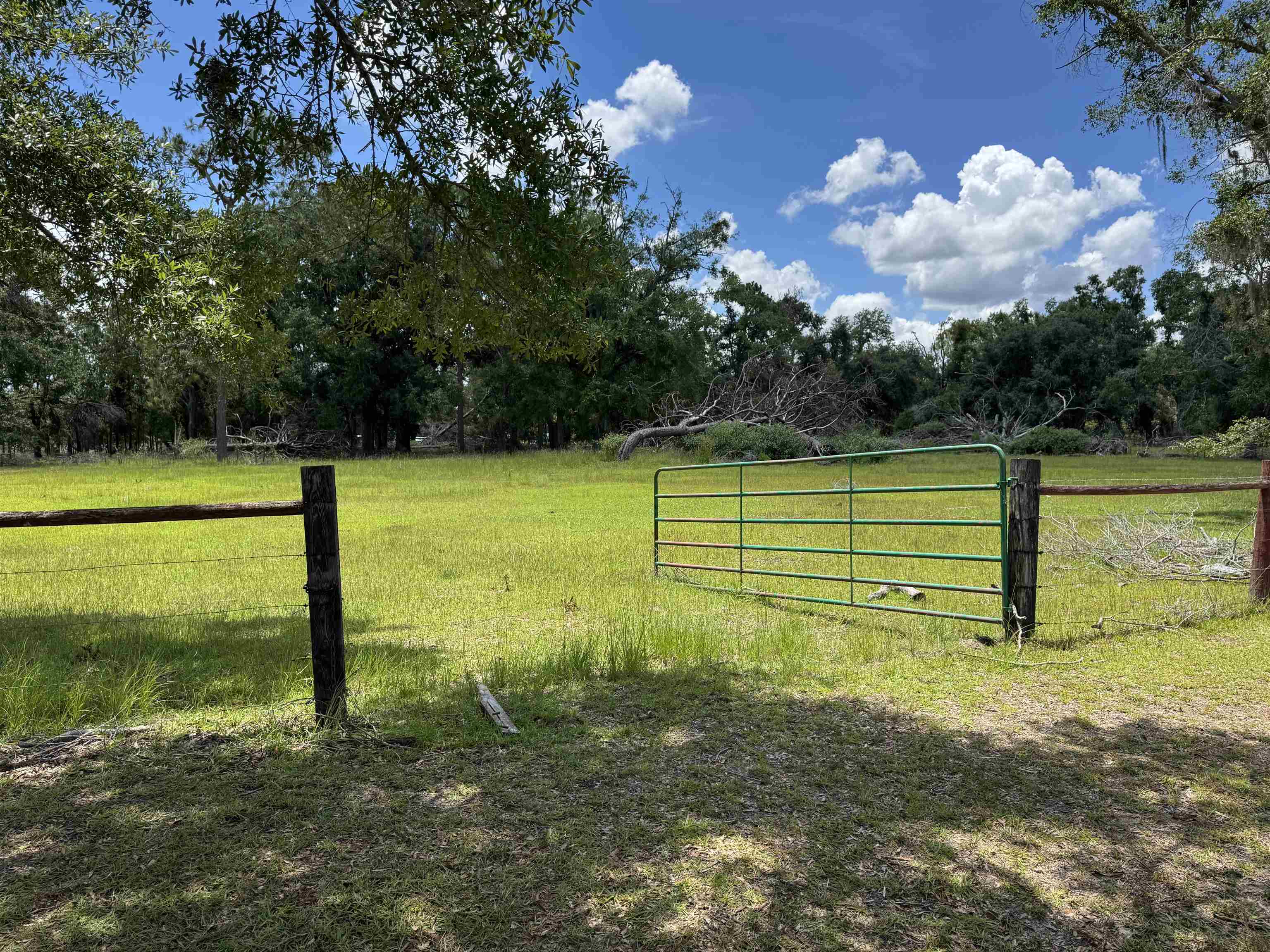 535 Northeast Jade Way Lee, FL 32059 - Photo 4 of 38