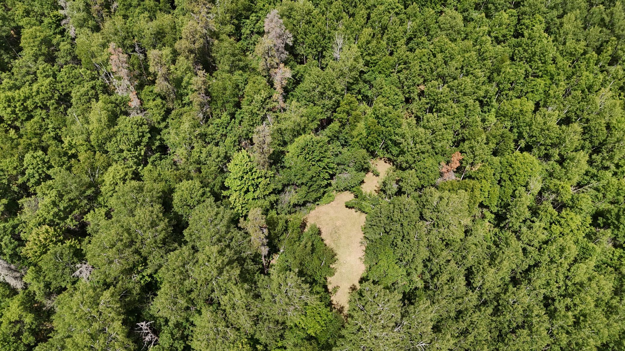 12997 East Mail Road Gordon, WI 54838 - Photo 7 of 65