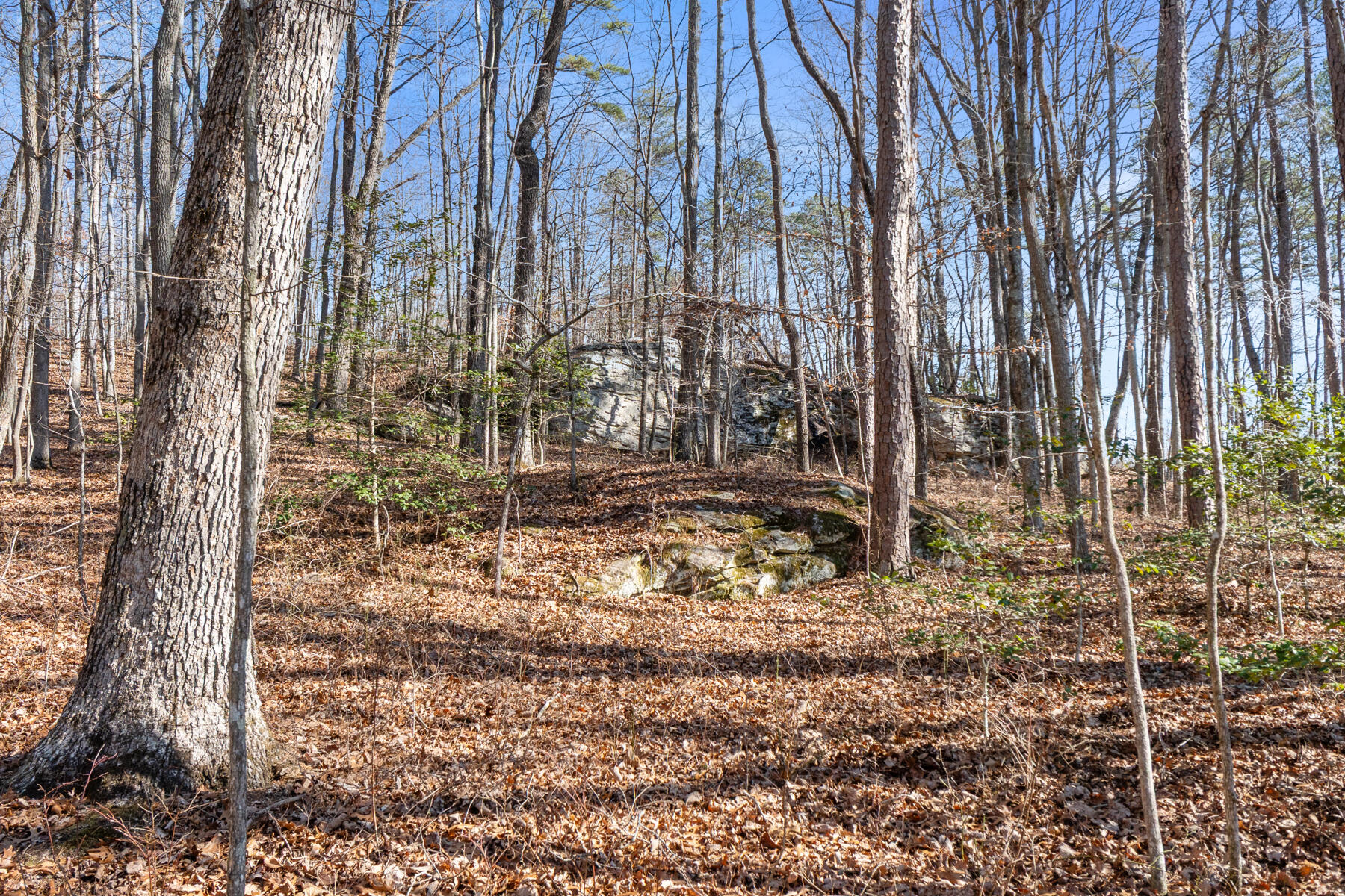 0 Tall Tree Trail, Unit 406 Dunlap, TN 37327 - Photo 13 of 22 dsc03075