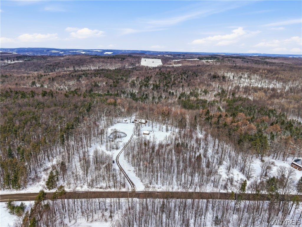 4704 Townline Road Yorkshire, NY 14042 - Photo 39 of 47