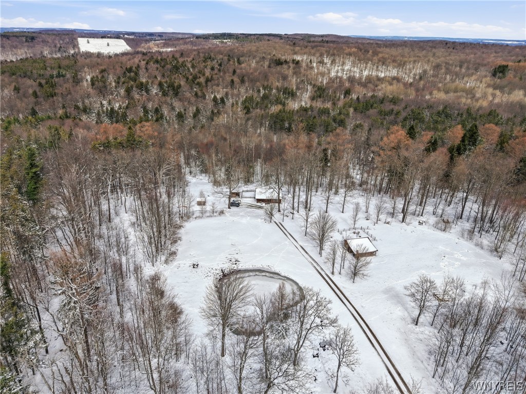 4704 Townline Road Yorkshire, NY 14042 - Photo 40 of 47