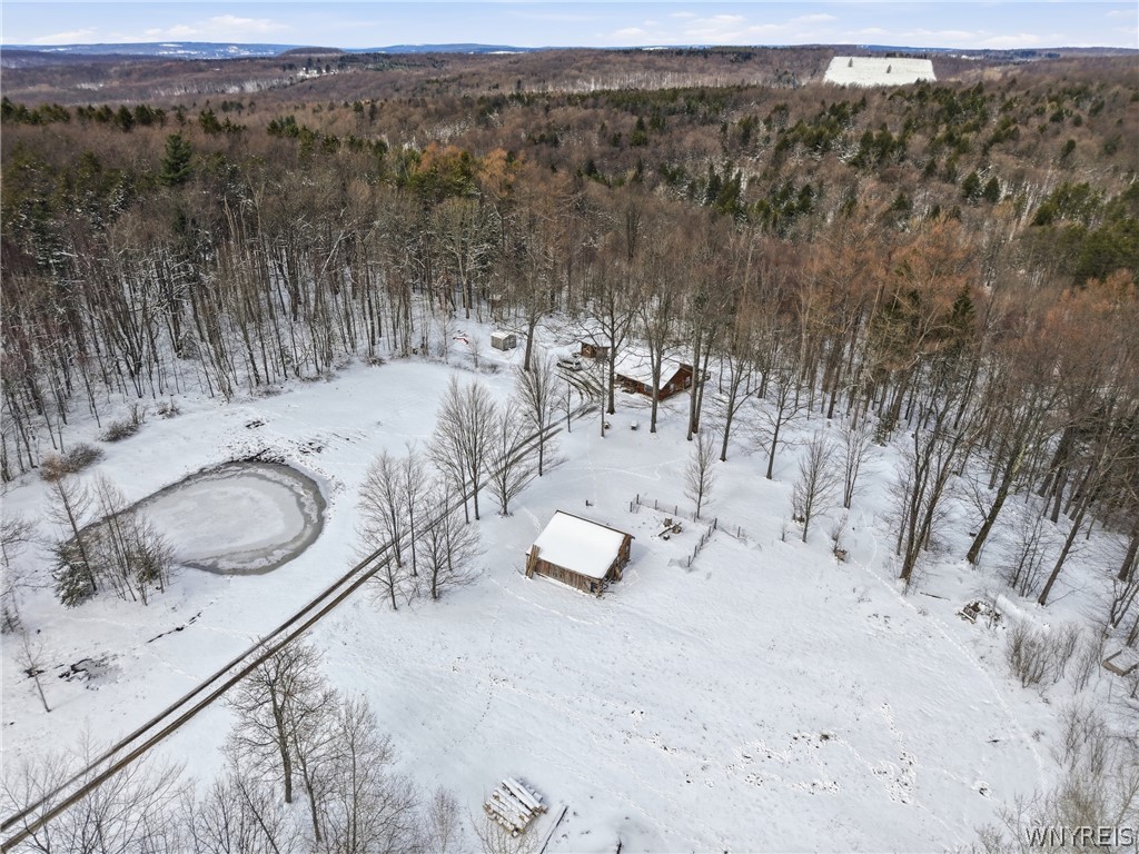 4704 Townline Road Yorkshire, NY 14042 - Photo 41 of 47