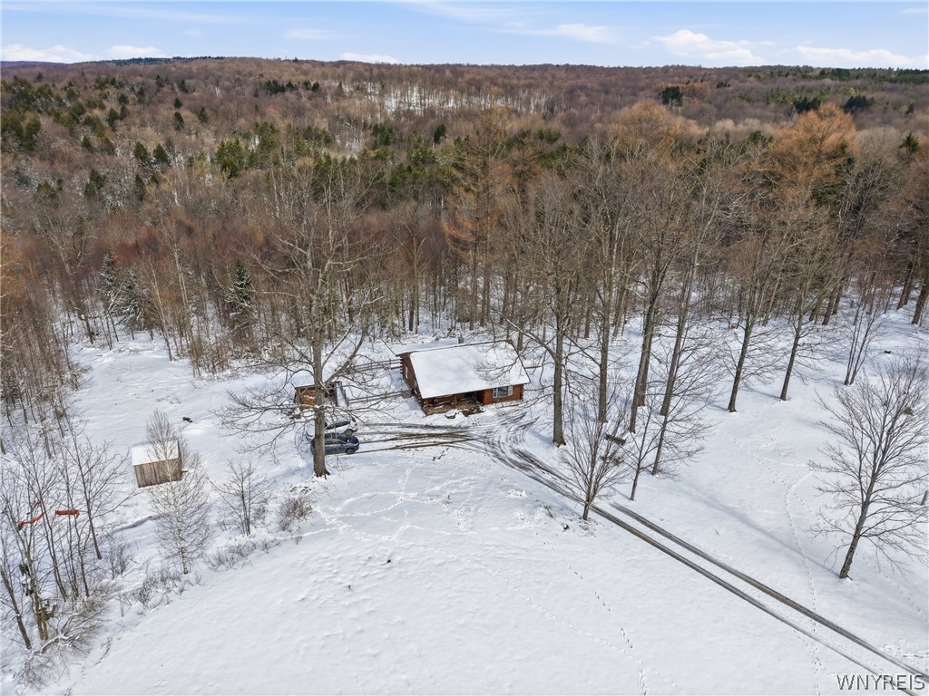 4704 Townline Road Yorkshire, NY 14042 - Photo 42 of 47