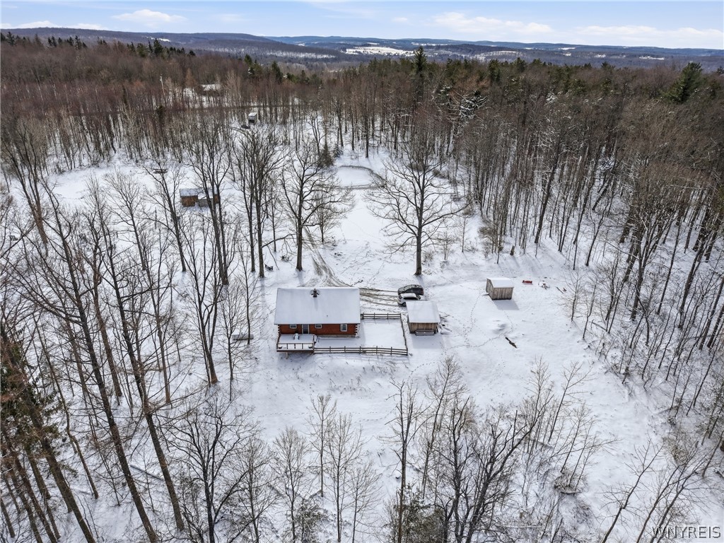 4704 Townline Road Yorkshire, NY 14042 - Photo 44 of 47