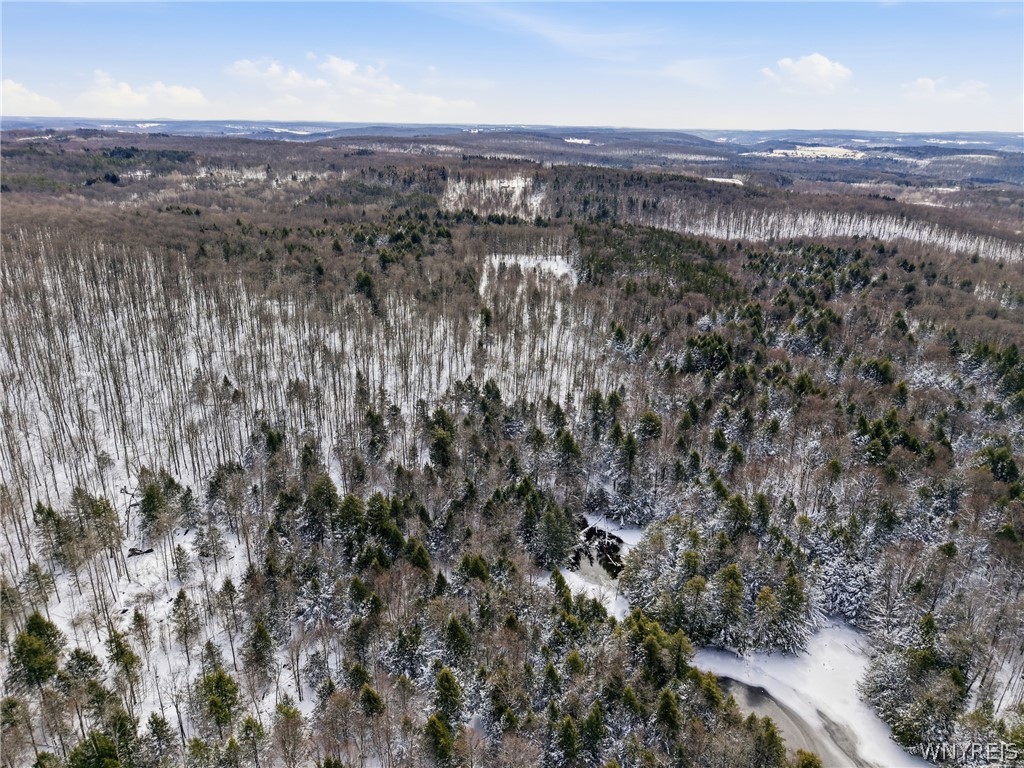 4704 Townline Road Yorkshire, NY 14042 - Photo 45 of 47