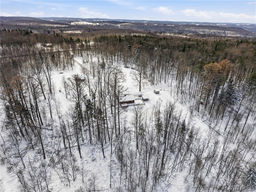 4704 Townline Road Yorkshire, NY 14042 - Photo 46 of 47