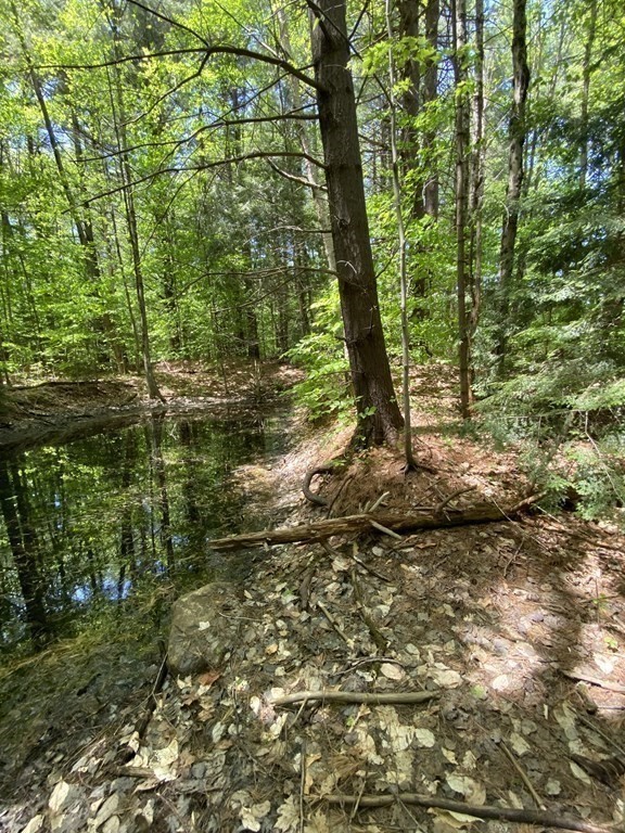 0 Bryant Road Cummington, MA 01026 - Photo 7 of 18 Gallery Image 7