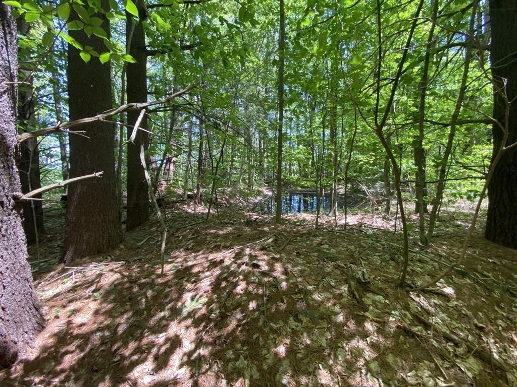 0 Bryant Road Cummington, MA 01026 - Photo 8 of 18 Gallery Image 8