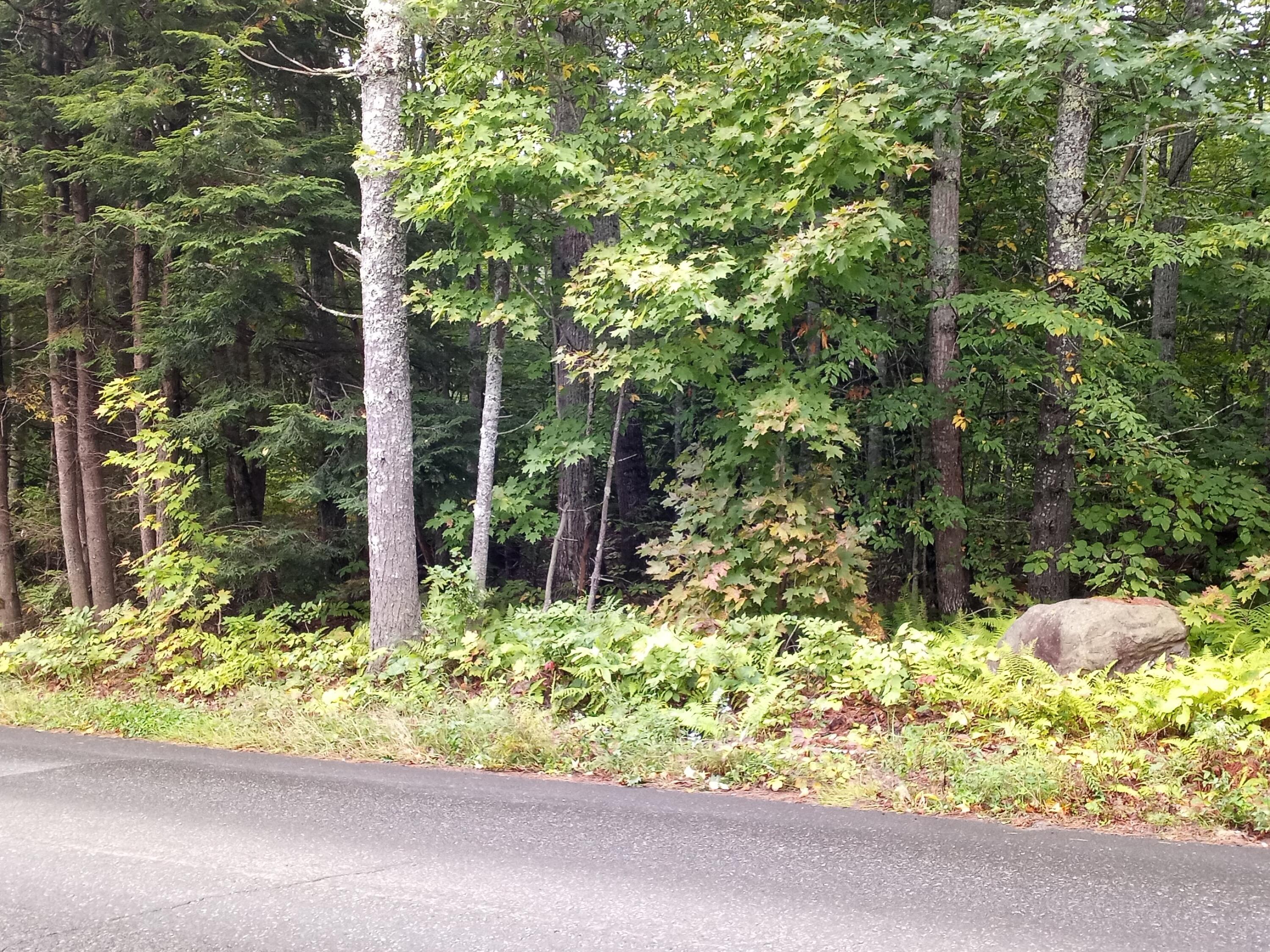 73 Duckpuddle Road Nobleboro, ME 04555 - Photo 2 of 3 20210916_080032~2(1)