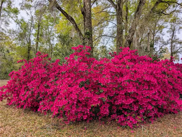 $495,000 | 6250 Northwest 94th Lane, Chiefland, FL 32626