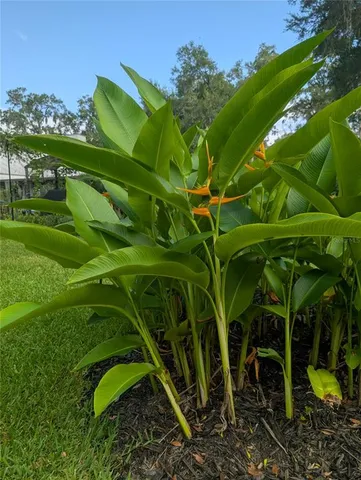 $495,000 | 6250 Northwest 94th Lane, Chiefland, FL 32626