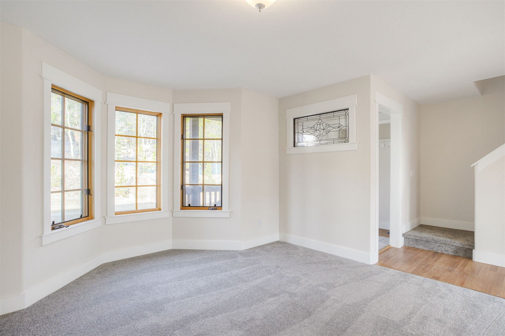 372 North Oak Street Alma, CO 80420 - Photo 4 of 31
