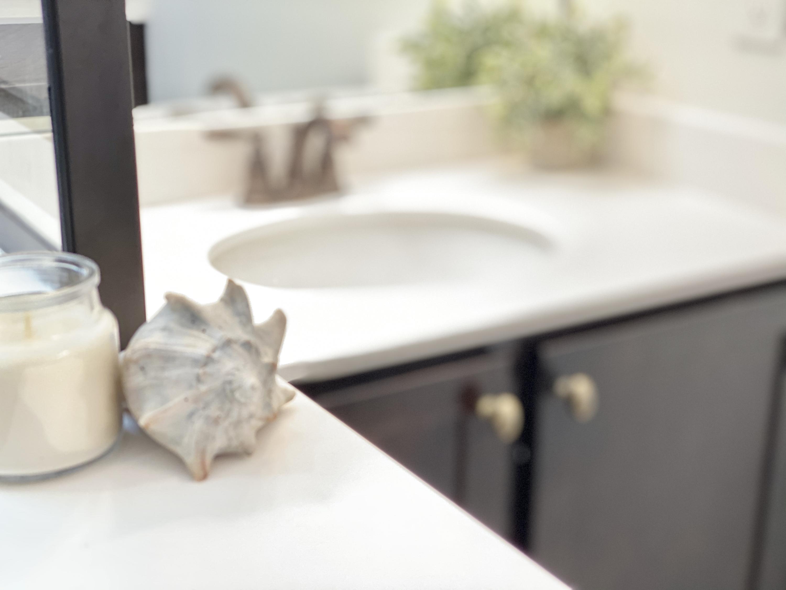 1496 Longspur Drive Mount Pleasant, SC 29466 - Photo 14 of 53 Master Bath