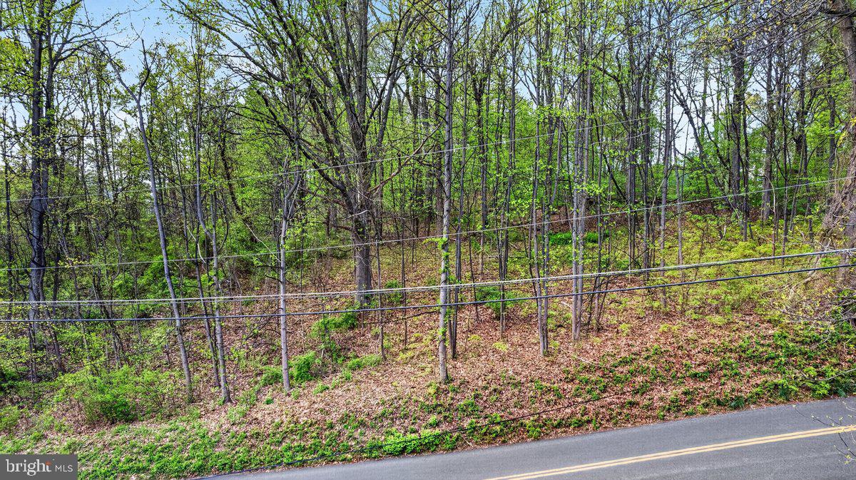 184 Long Lane Road Boyertown, PA 19512 - Photo 2 of 11