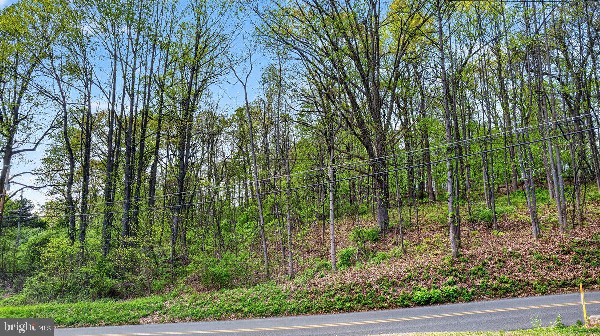 184 Long Lane Road Boyertown, PA 19512 - Photo 3 of 11