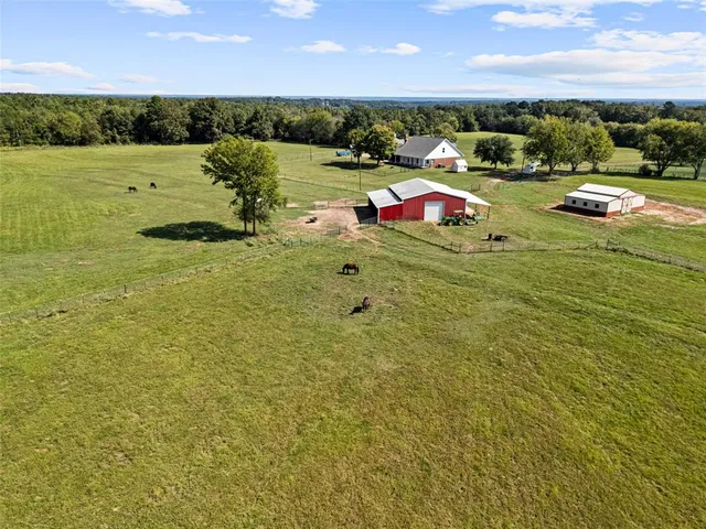 a view of a mountain with a garden