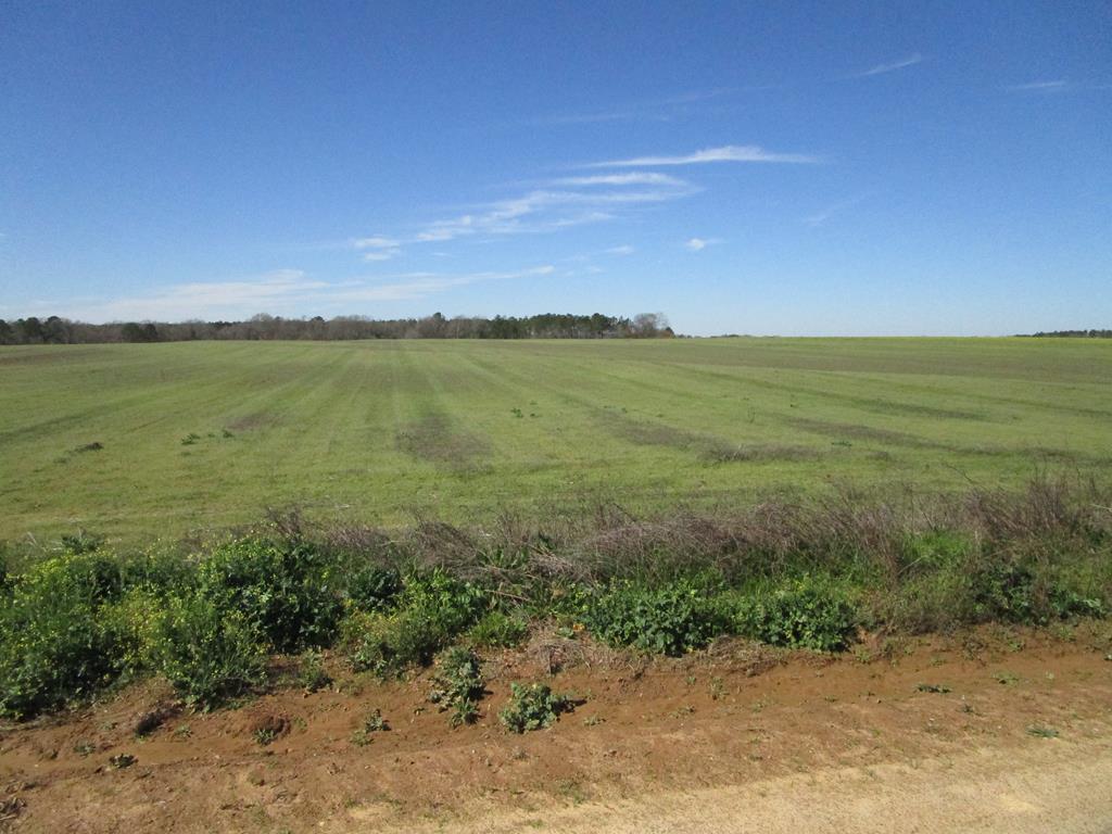 0 Culver Road Newville, AL 36353 - Photo 1 of 4