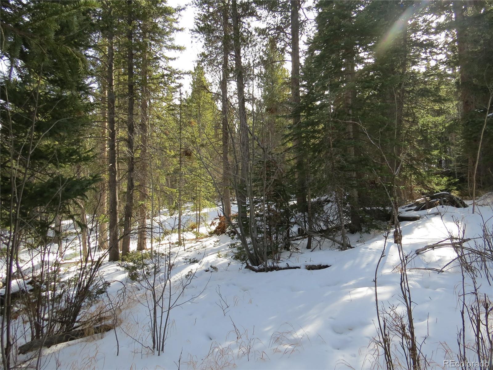 Aspen Road Black Hawk, CO 80422 - Photo 11 of 23 Gallery Image 11