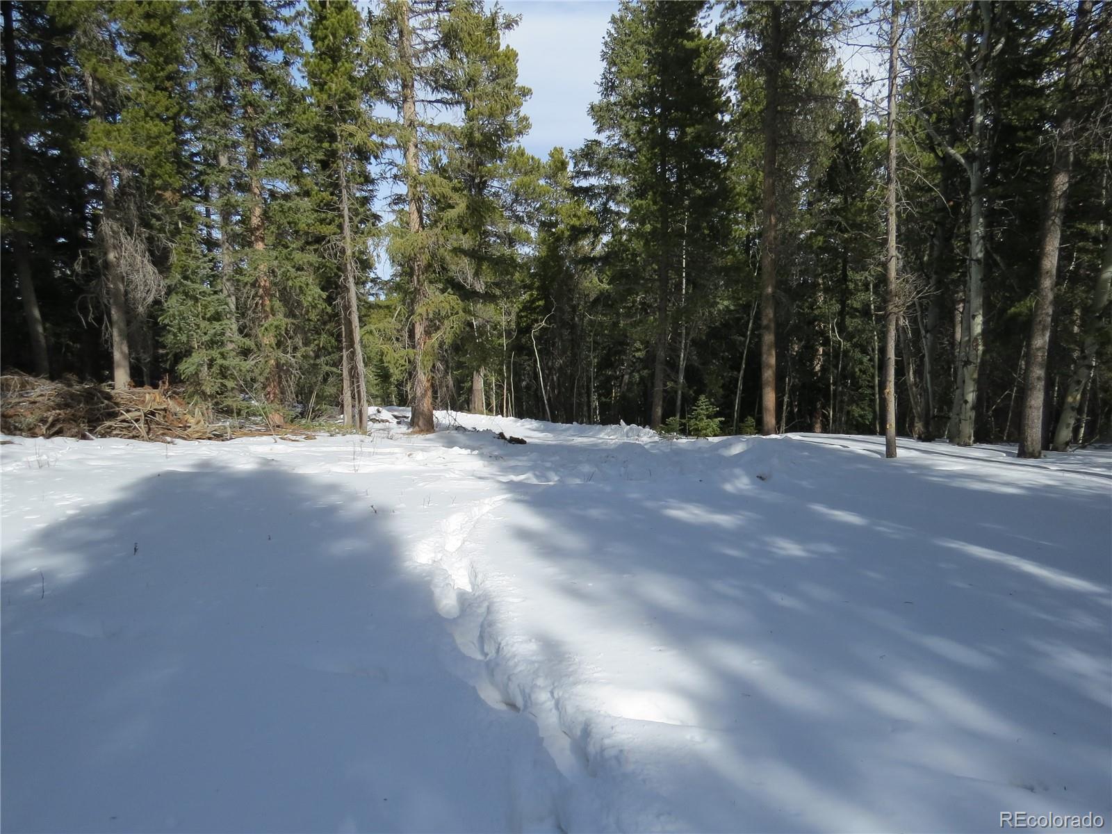 Aspen Road Black Hawk, CO 80422 - Photo 14 of 23 Gallery Image 14