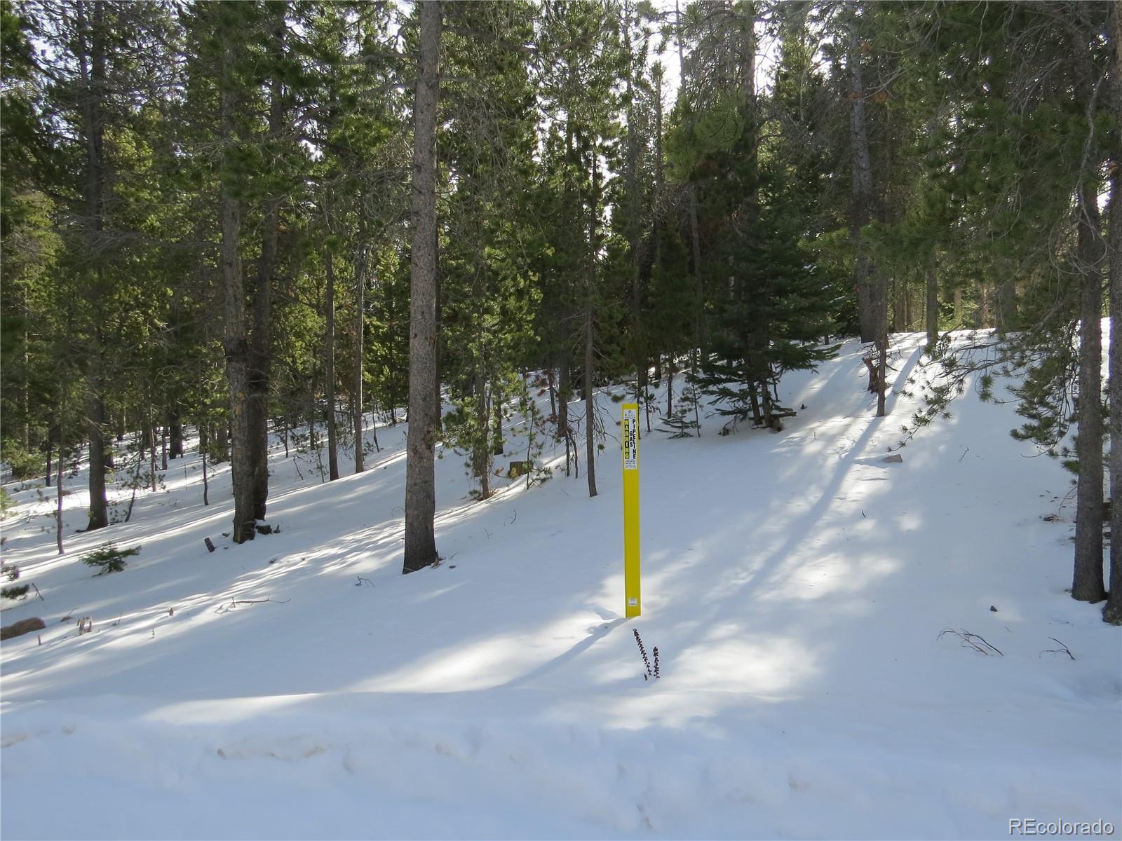 Aspen Road Black Hawk, CO 80422 - Photo 18 of 23 Gallery Image 18